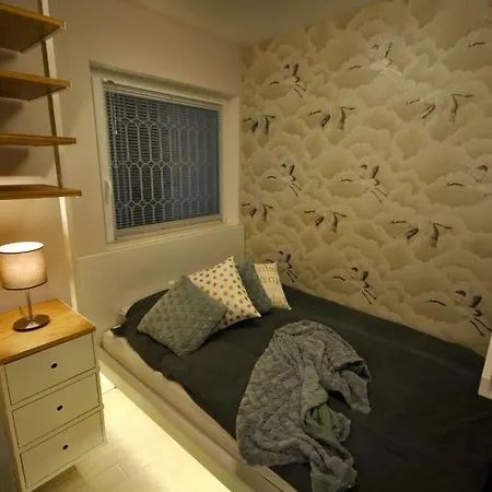 Krane Sas Budapeşte