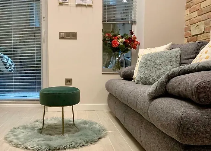 Krane Sas