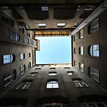 Krane Sas